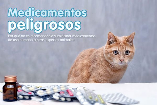 Medicamentos peligrosos