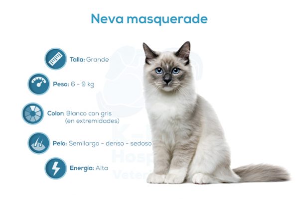 Neva masquerade